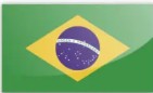 Português - Brasil
