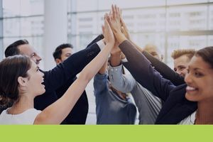 Trabalho com Sentido: Sucesso, Emoções e Bem-Estar nas Relações Profissionais